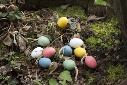 easter eggs in soil