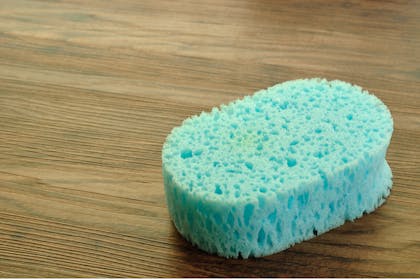 4. Sponges – replace every month