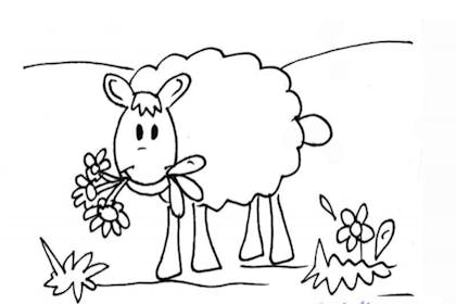 Sheep eating flowers