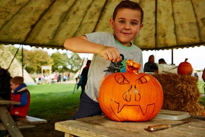 A boy scoops the middle out of a pumpkin at Piglets Adventure Farm