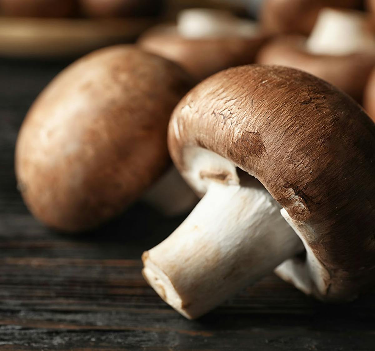 Can You Eat Mushrooms When Pregnant Netmums Can You Eat Mushrooms When Pregnant Netmums