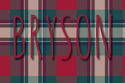 31. Bryson