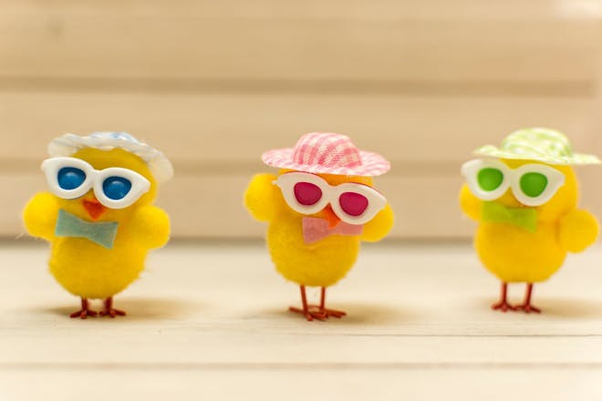 Easter chicks with glasses and easter bonnets