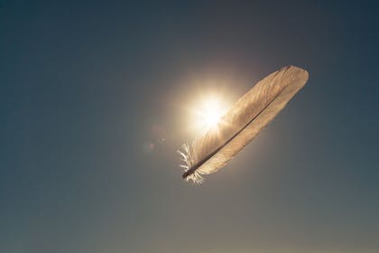 White feather floating in sky