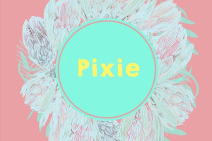 baby name Pixie