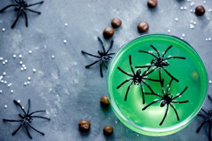 A glass of green jelly with toy spiders scattered around for Halloween