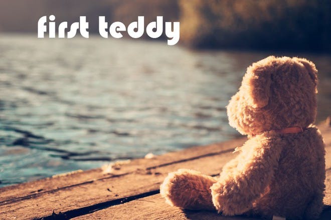 teddy bear sitting on jetty by water