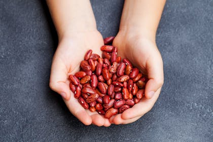 CHild's hands holding dried beans