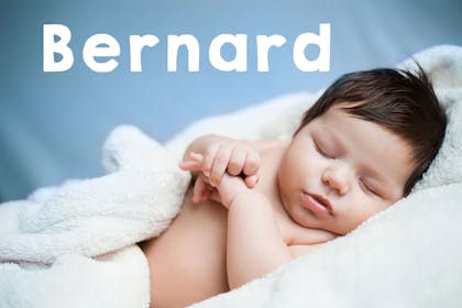 Baby name Bernard