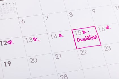 Calendar with ovulation marked on in pink
