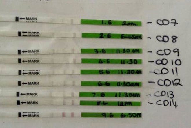 Ovulation tests going from negative to positive from user Lucy R(408)