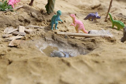 Toy dinosaurs in sand