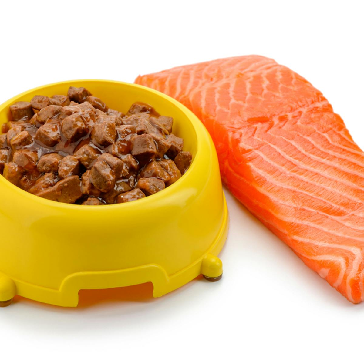 Can Dogs Eat Smoked Salmon