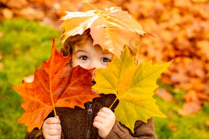 boy holding autumnal leaves over his face