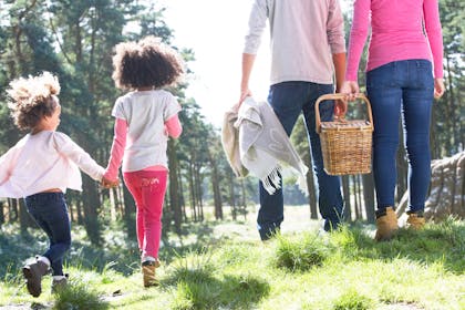 family walking with picnic basket
