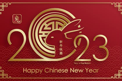 Chinese New Year Greetings For The Year Of The Rabbit - Little Day Out