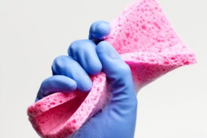 hand with blue glove holding pink sponge
