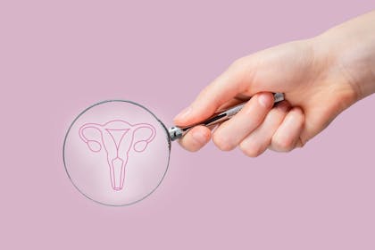 Hand holding a magnifying glass to an illustration of the womb