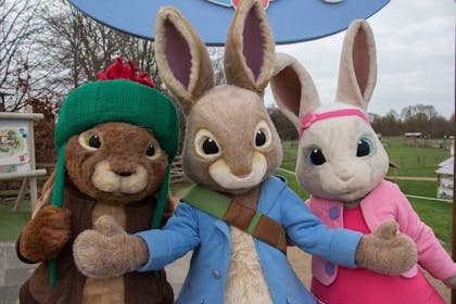 Meet Peter Rabbit at Willows Activity Farm