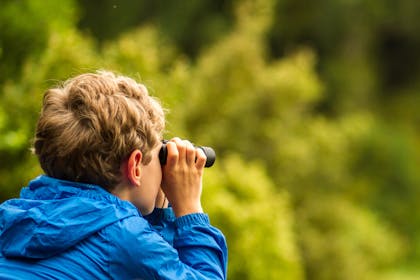 Kid birdwatching with binoculars