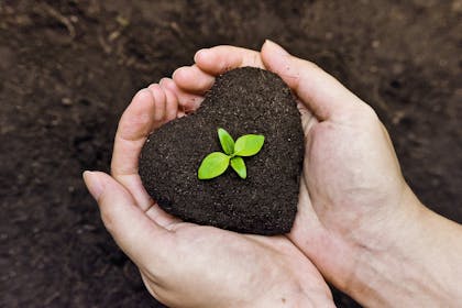 heart shaped soil in hands holding a seedling