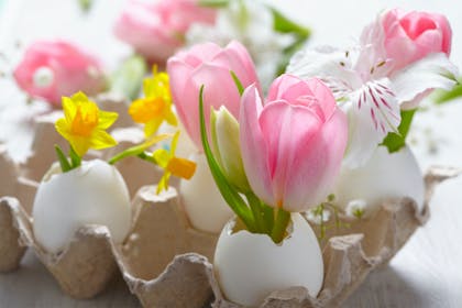 Easter eggshell craft