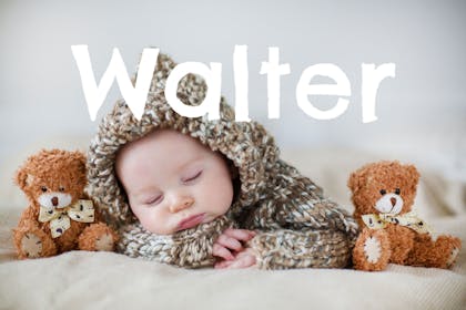 Baby name Walter