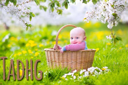 Baby in basket in field with Irish name Tadhg