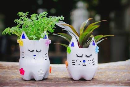 Upcycled bottle plant pots