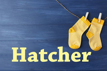 11. Hatcher