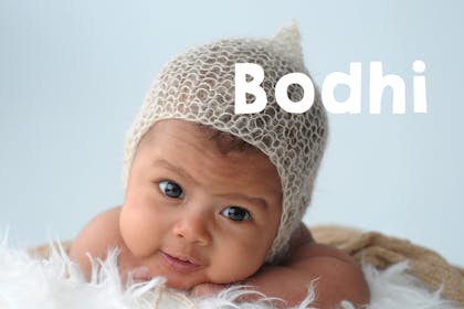 Bodhi baby name