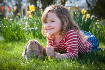 Easter at Fishers Farm Park, West Sussex