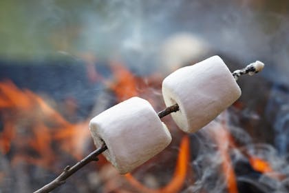 toasted marshmallows