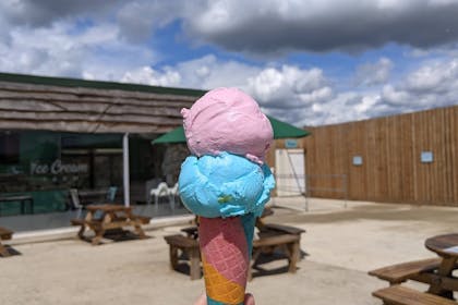 Lewis of London Ice Cream Farm