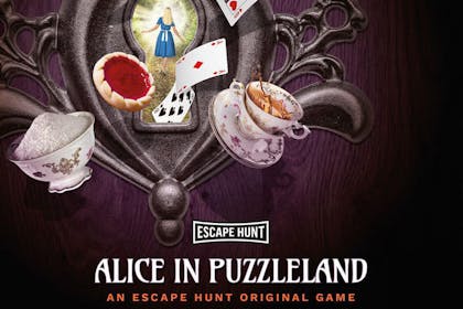 Alice in Puzzleland poster