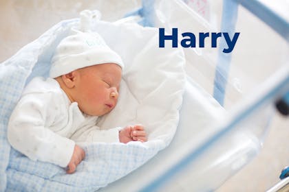 Newborn baby in hospital cot. Name Harry written in text