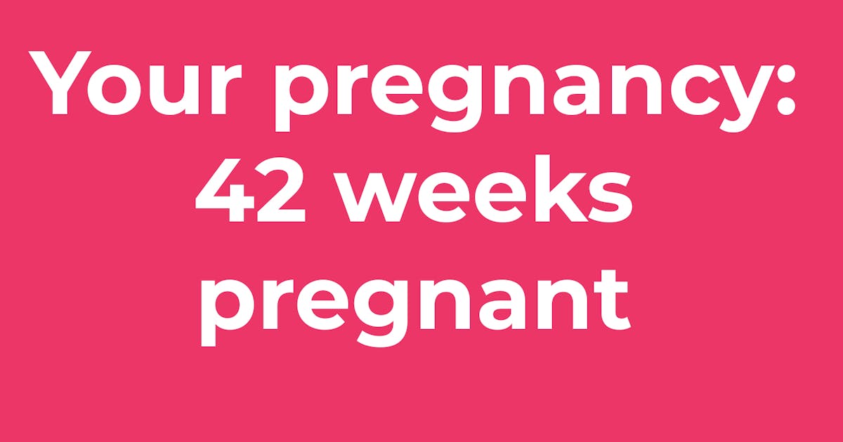 Your Pregnancy 42 Weeks Pregnant Netmums 