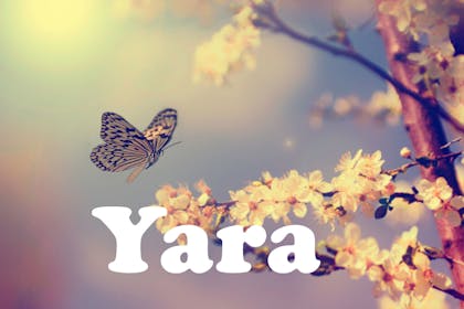Animal baby names - Yara
