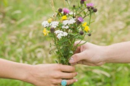 hands holding flowers in field