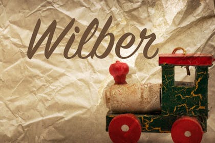 5. Wilber