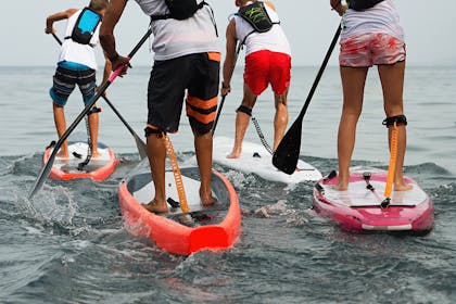 Group of people stand up paddle boarding