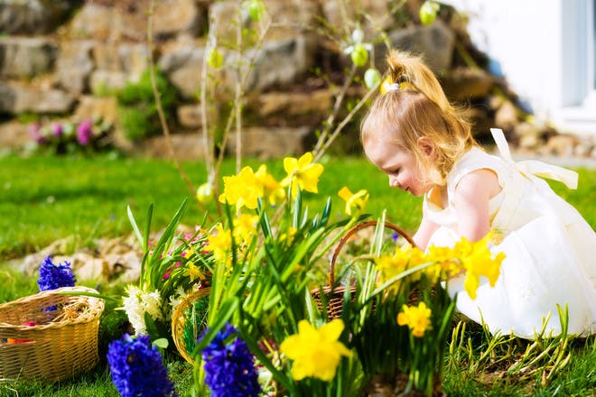 Girl looking in daffodils in garden