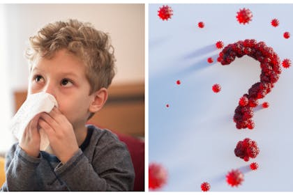 Boy blowing his nose | Question mark made of bugs