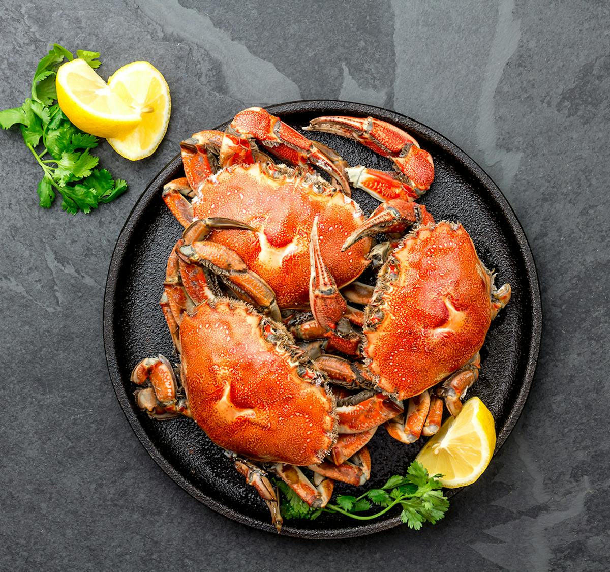 Can You Eat Crab When Pregnant Netmums Can You Eat Crab When Pregnant Netmums
