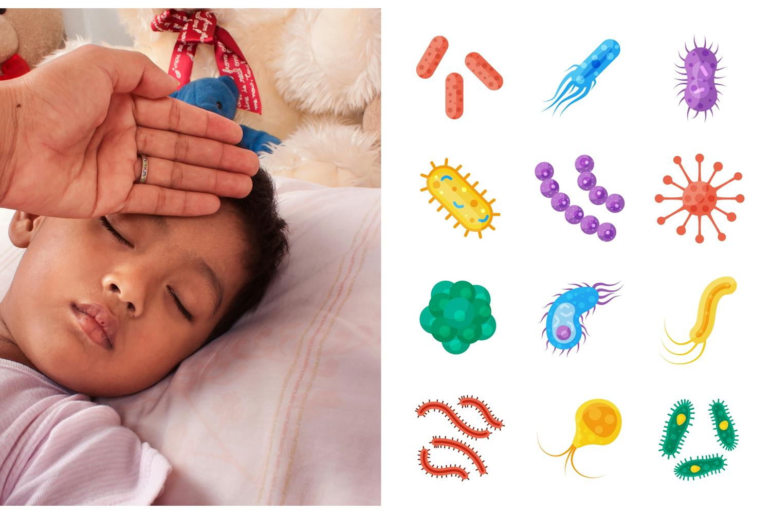 Surprising Ways To Avoid School Bugs Netmums Surprising Ways To Avoid School Bugs Netmums