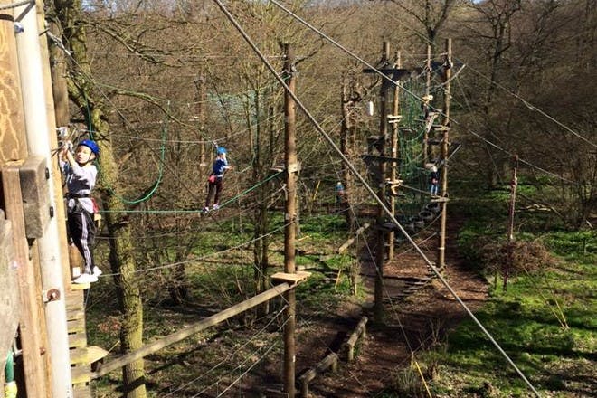 Top 21 Places For A Tree Top Adventure Netmums