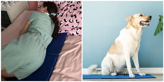 Girl lying on bed on cooling mat | dog sitting on dog cooling mat