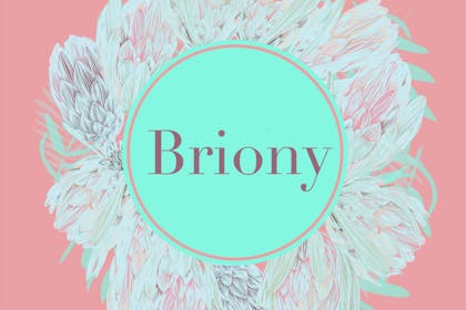 19. Briony