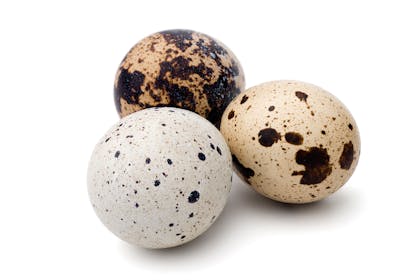 three quail eggs