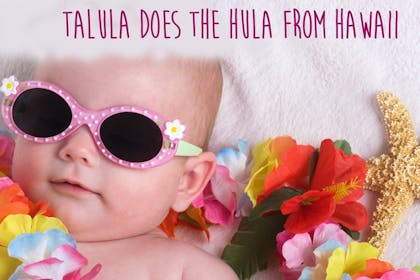 talula does the hula